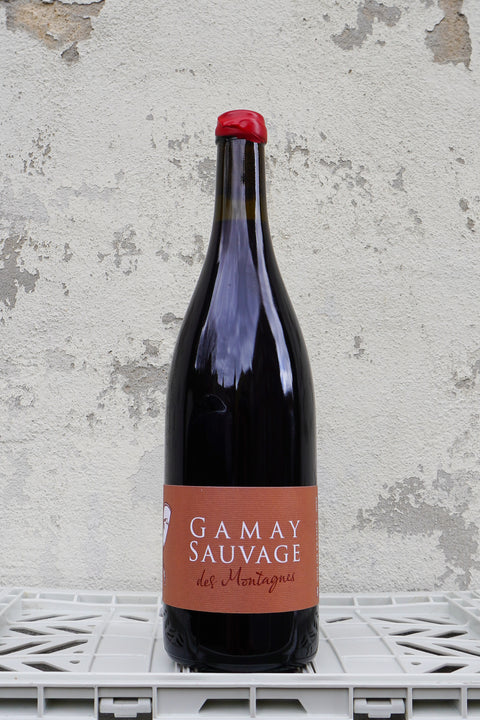 Gamay Sauvage