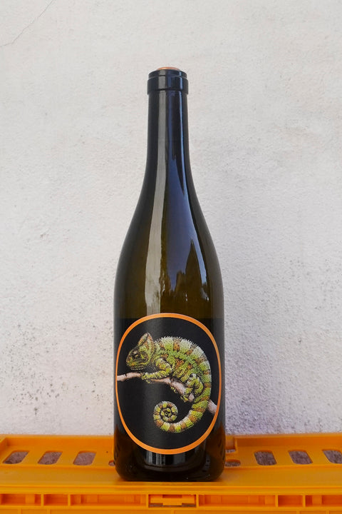 Riesling 2023
