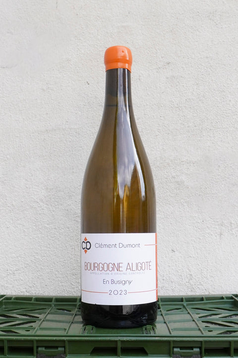 ALIGOTÉ “EN BUSIGNY” 2023