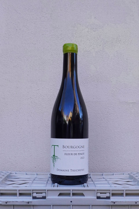 BOURGOGNE “SANS SOUFRE” FLEUR DE PINOT