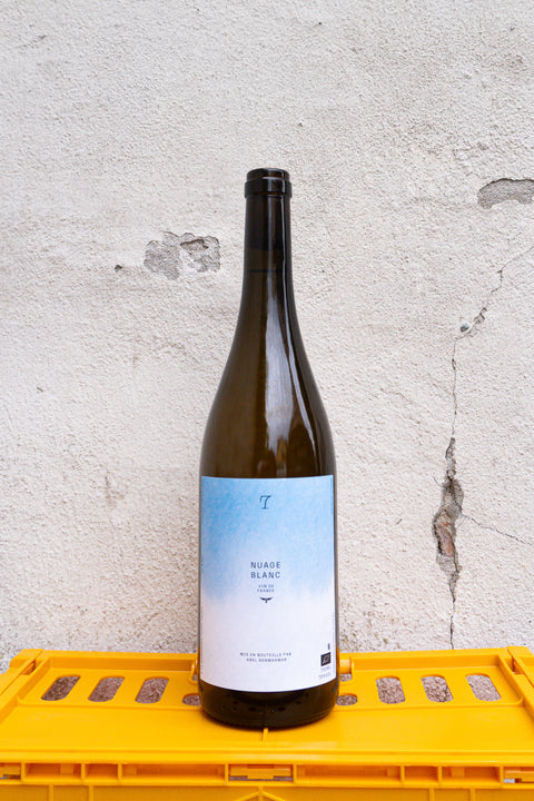 "7" Nuage Blanc 2023