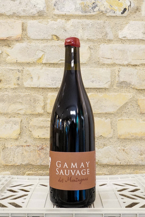 Gamay Sauvage