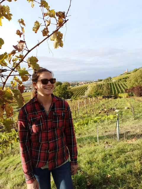 Chamäleon-Wein Konrad