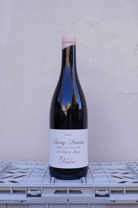 AUXEY-DURESSES - Le Plain de Lugny